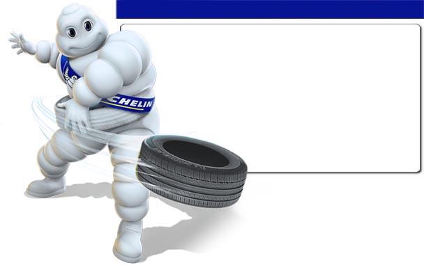 Michelin B2B Portal Maintenance Page